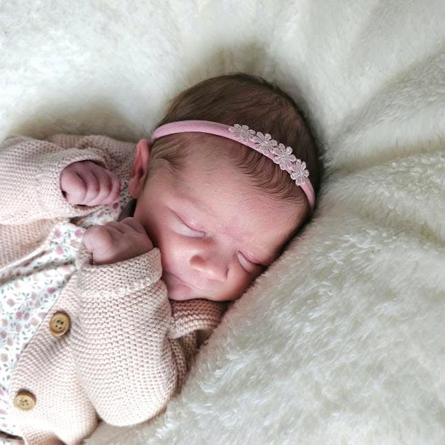 Dusky delicate daisy flowers | Clip or headband